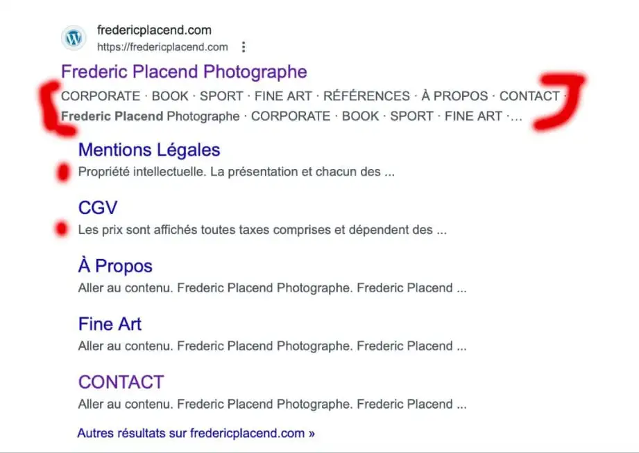 Résultat Google sur la requête meubles Mayotte montrant le positionnement du site
